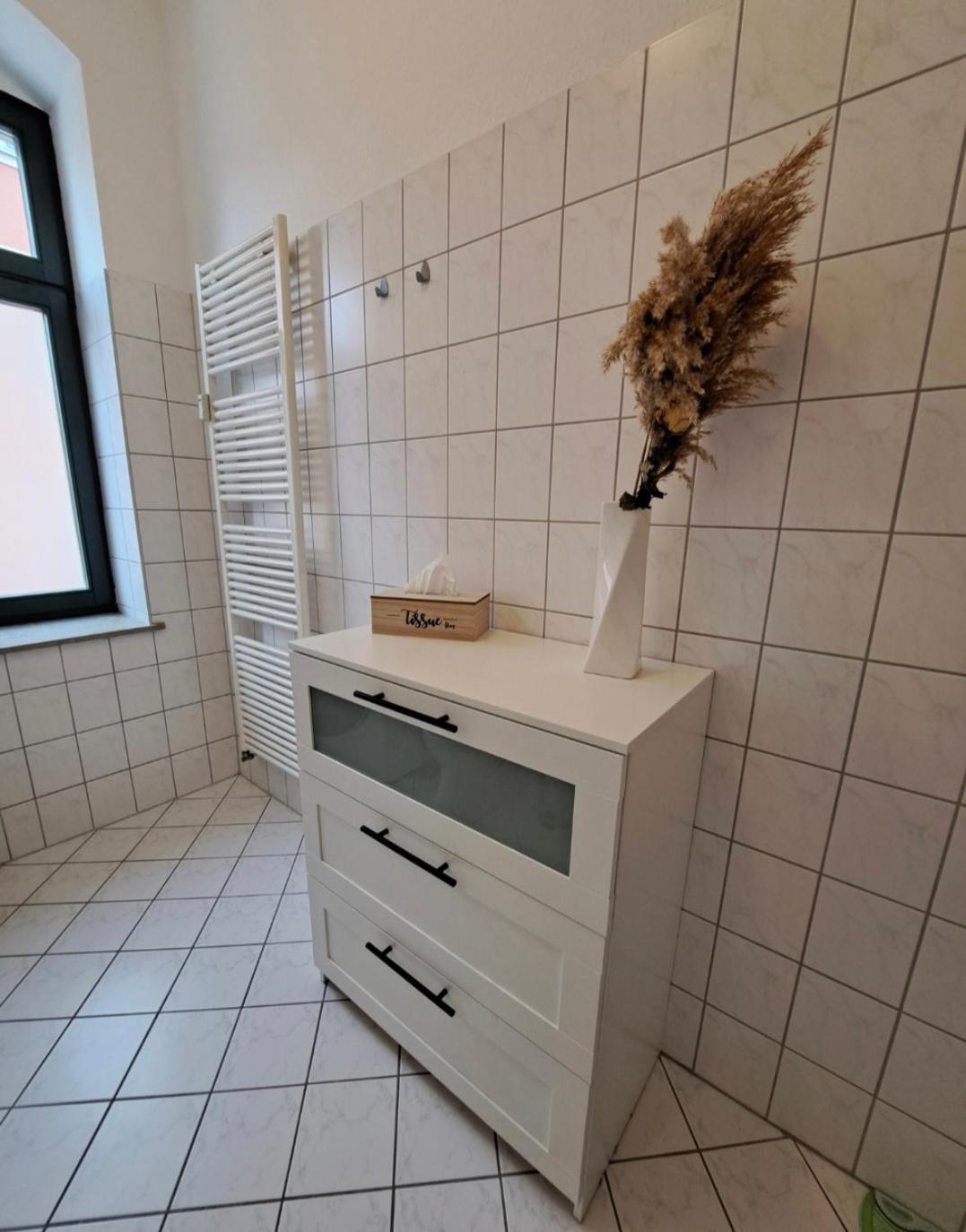 Stilvolle Ferienwohnung Dresden Ngoại thất bức ảnh
